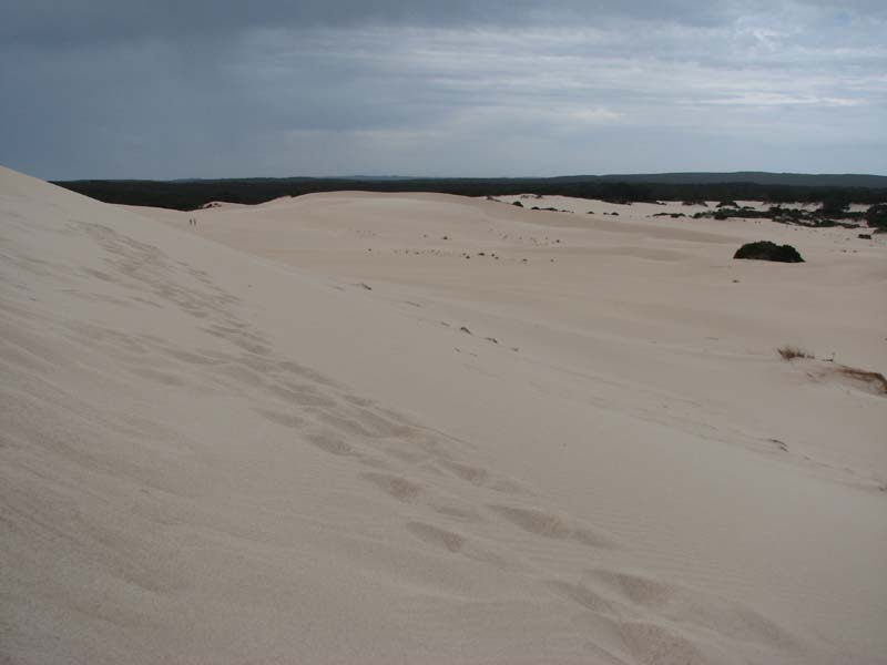 Little Sahara